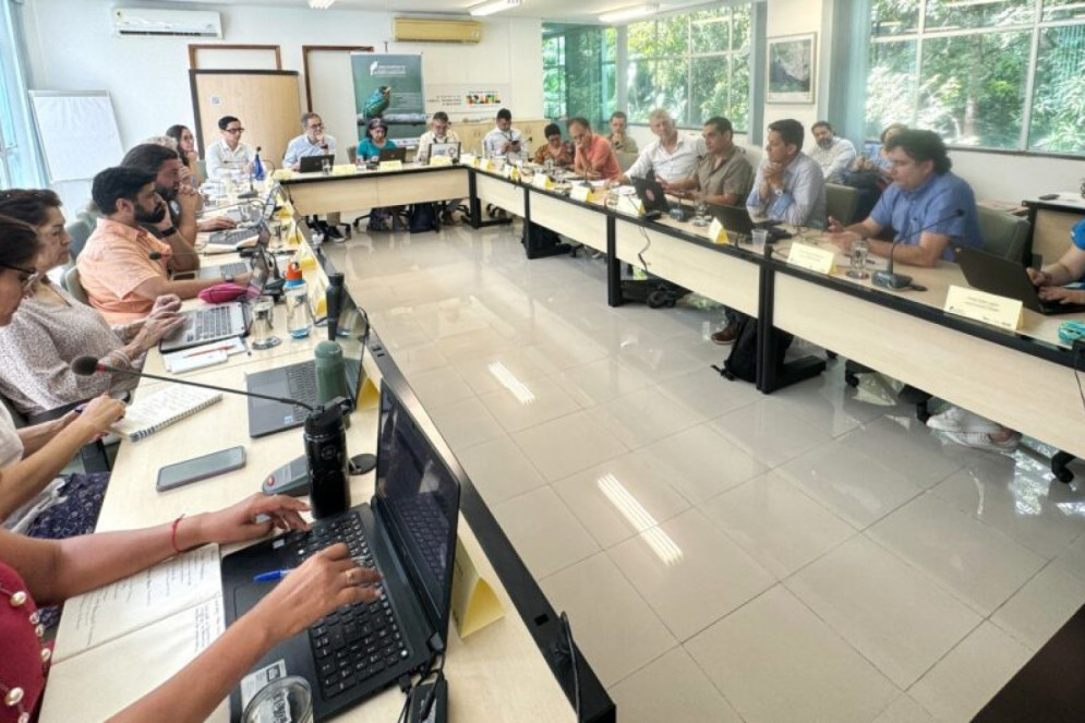 A Rede Amazônica de Pesquisa e Inovação em Biodiversidade reúne nove instituições de pesquisa amazônicas.(Foto: Divulgação/RedAmazonia)