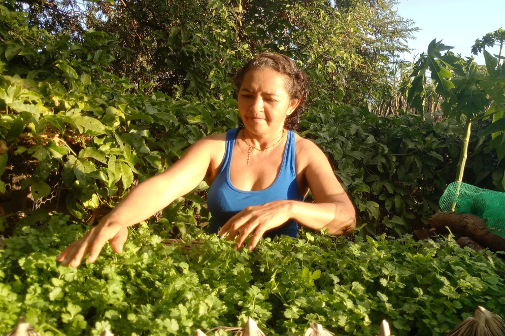Núbia Cardoso é agricultora e artesã da comunidade Santa Luzia, em Crateús.(Foto: Kelly Cristina)