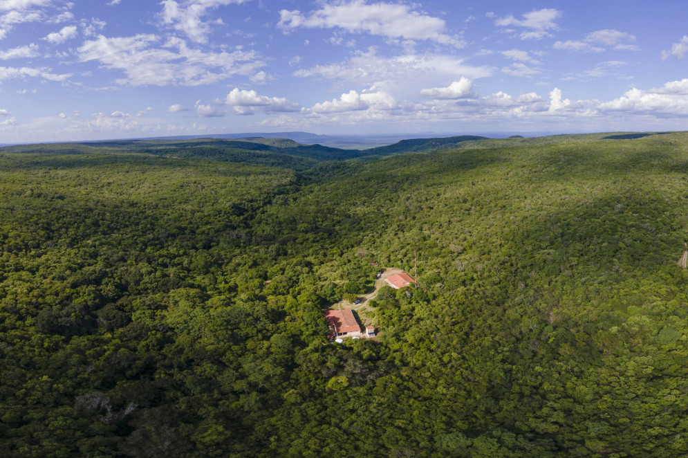 Reserva Natural Serra das Almas, em Crateús, preserva parte da Caatinga.(Foto: Barong)