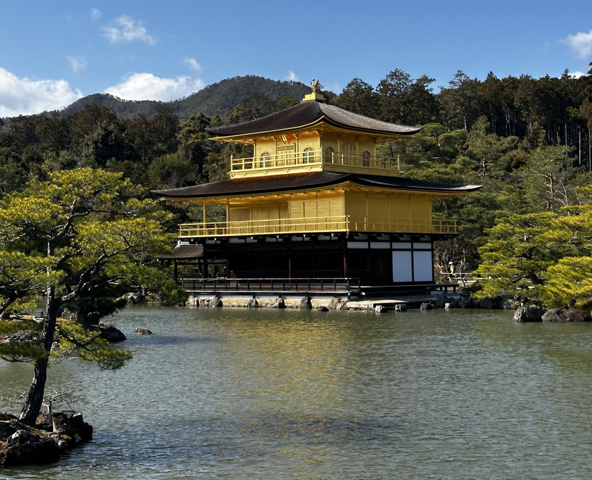 O majestoso Kinkaku-ji - Templo do Pavilhão Dourado (Foto: Larissa Lima)