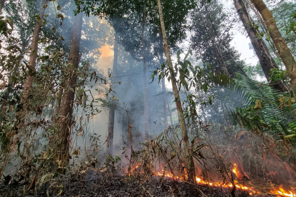 Especialista em fogos na Amazônia, Érika Berenguer, estuda as queimadas na linha de frente(Foto: Arquivo Pessoal/Érika Berenguer)