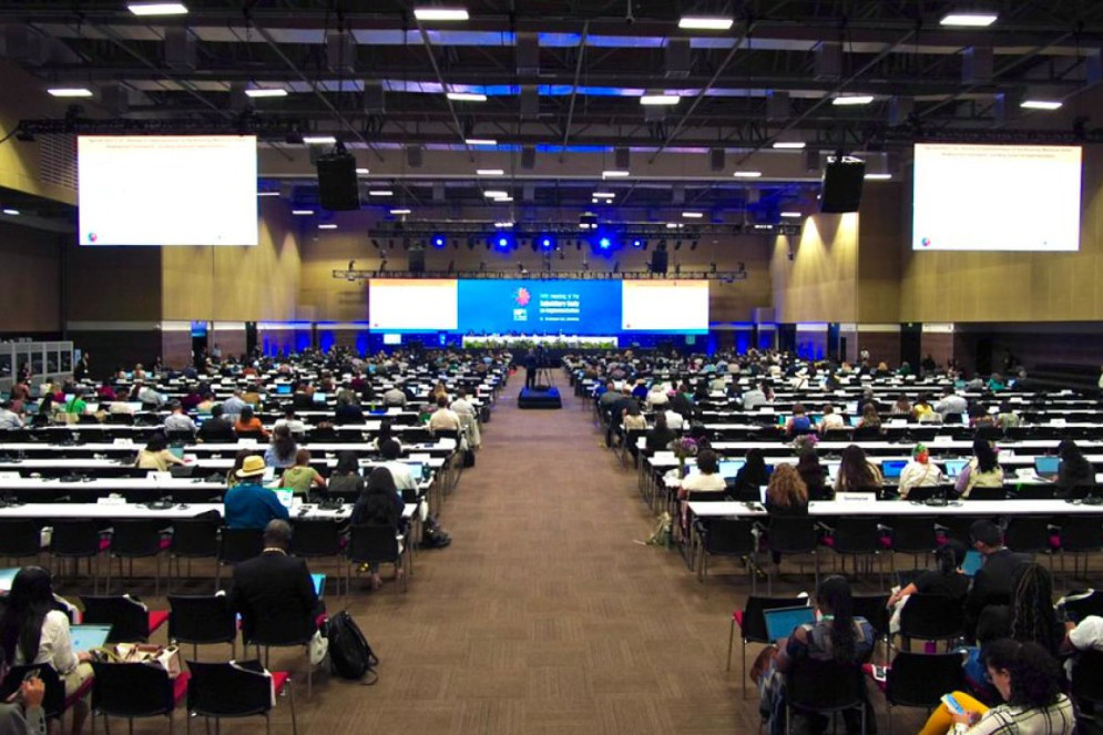 Evento pré-COP16, reunião do Órgão Subsidiário de Implementação (SBI, na sigla em inglês)(Foto: UN Biodiversity)