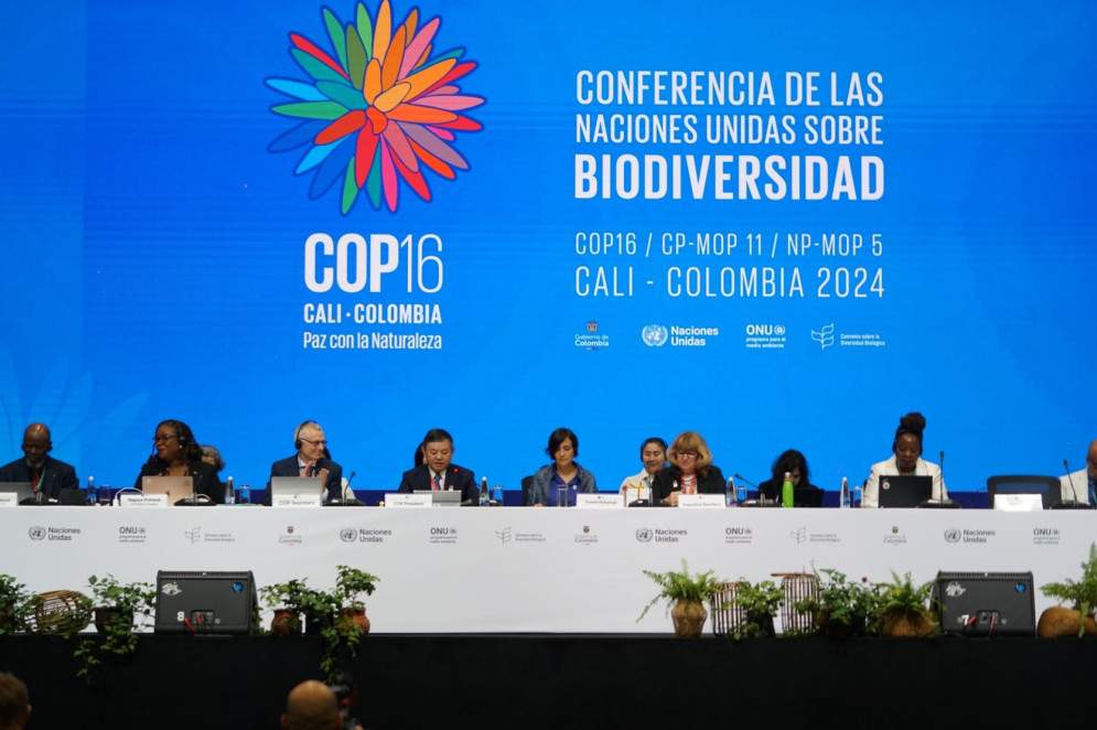 Governo da Colômbia propõe o debate sobre trocas de dívidas por natureza(Foto: UN Biodiversity)