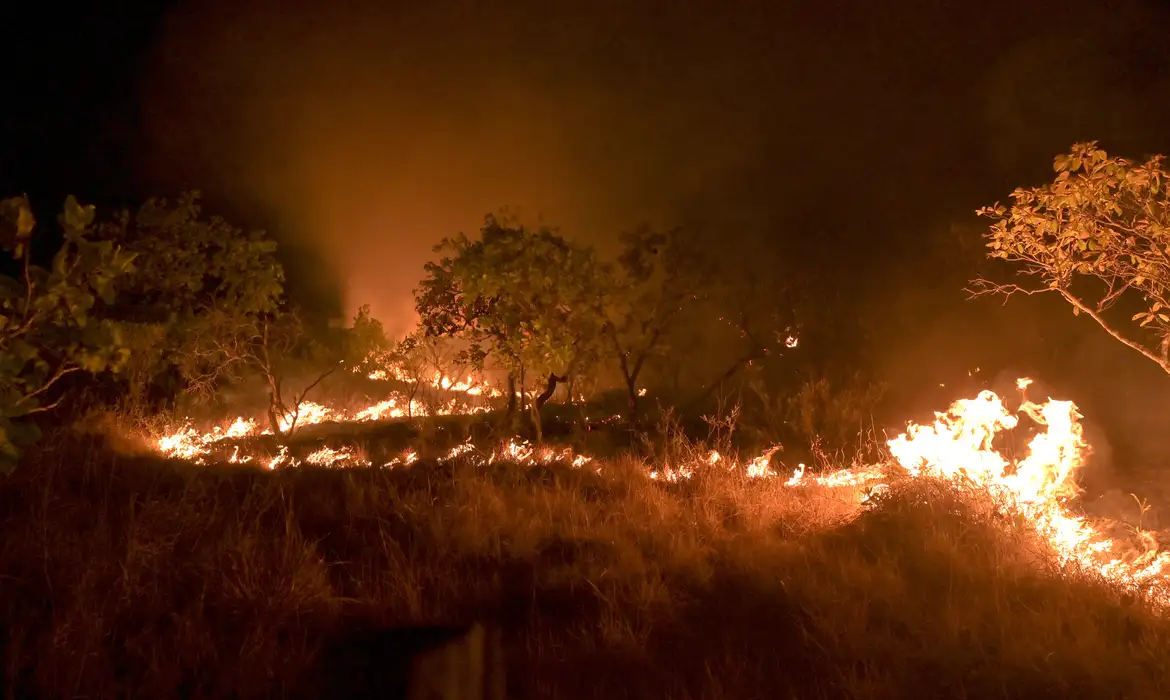 Seca faz incêndios em florestas maduras crescer 152% na Amazônia(Foto: Agência Brasil)