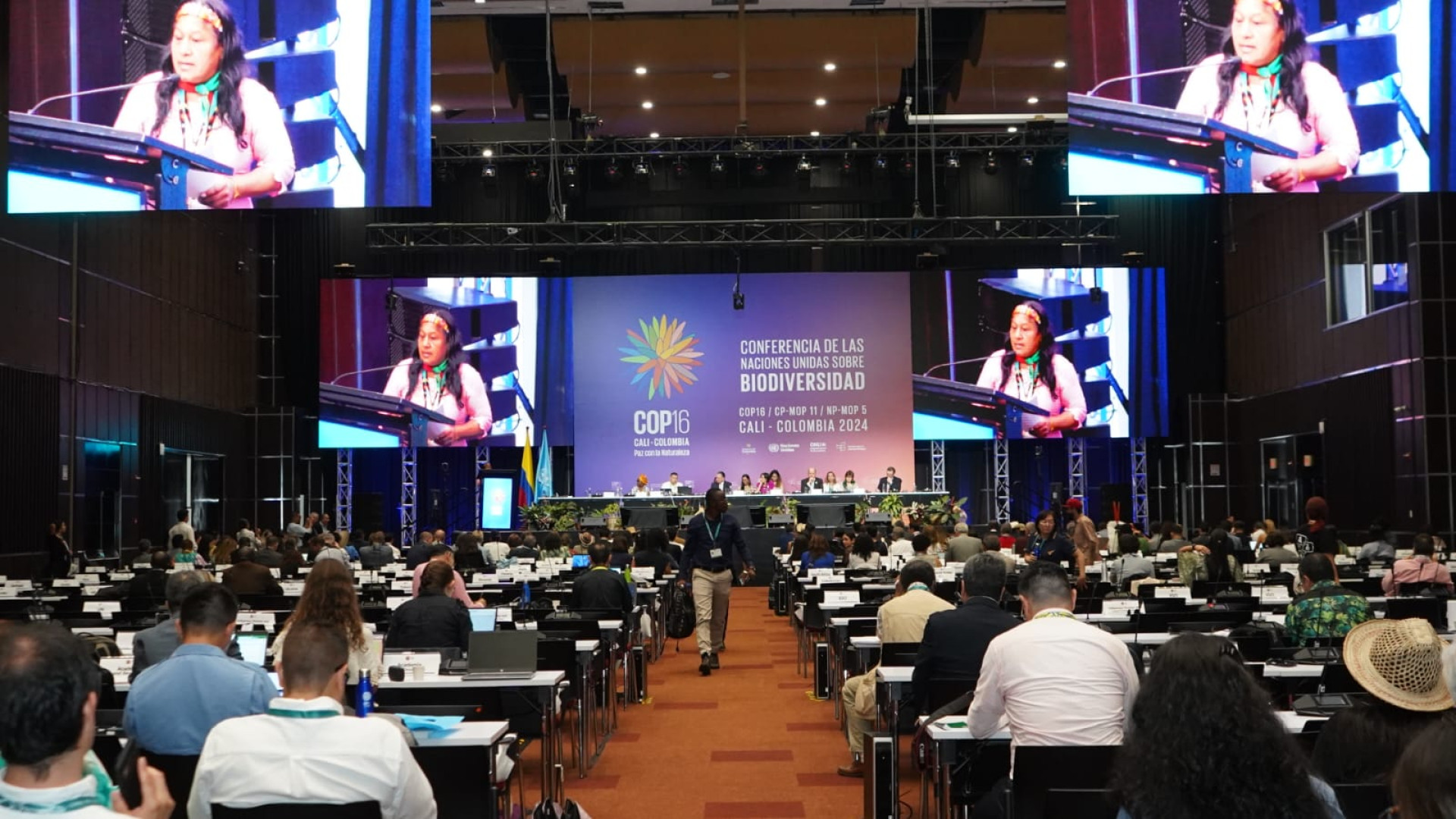 COP16 acontece em Cali, Colômbia (Foto: Divulgação UN Biodiversity)