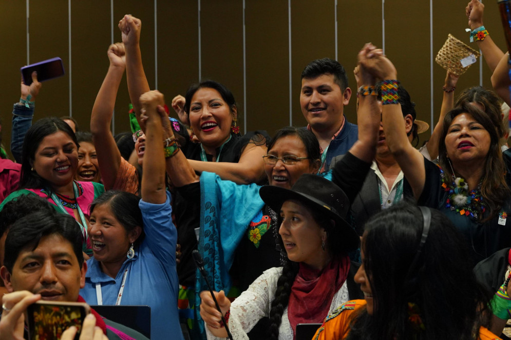 Povos indígenas comemoram aprovação do órgão subsidiário do Artigo 8(j) durante a plenária de encerramento da COP16 de Biodiversidade, no dia 1º de novembro de 2024.(Foto: Divulgação/UN Biodiversity)