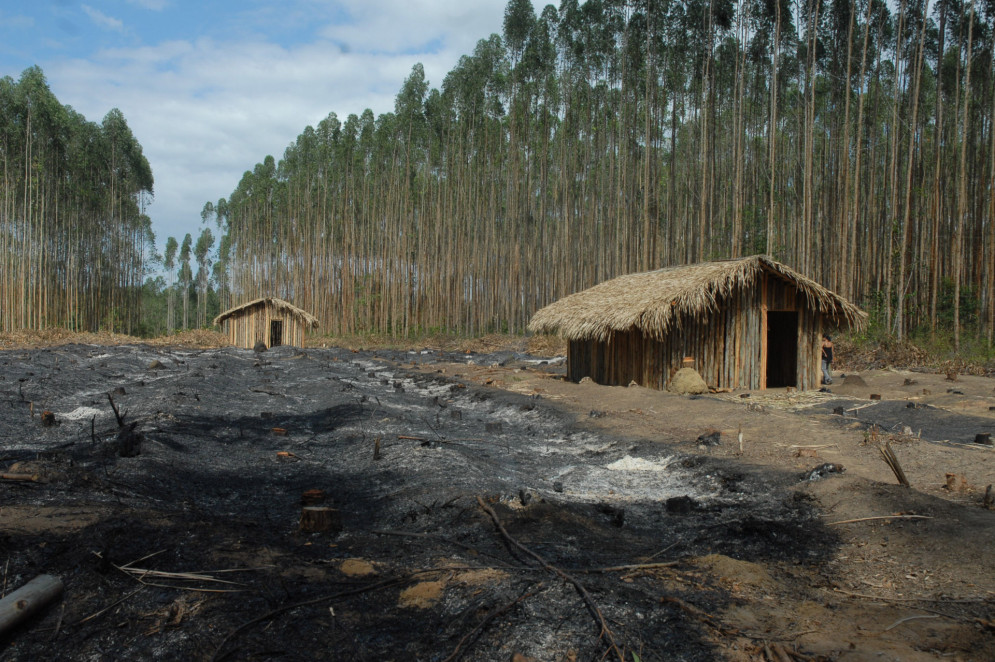 Acampamento indígena em plantação de eucalipto da Aracruz Celulose, no Espírito Santo(Foto: Valter Campanato / Agência Brasil)