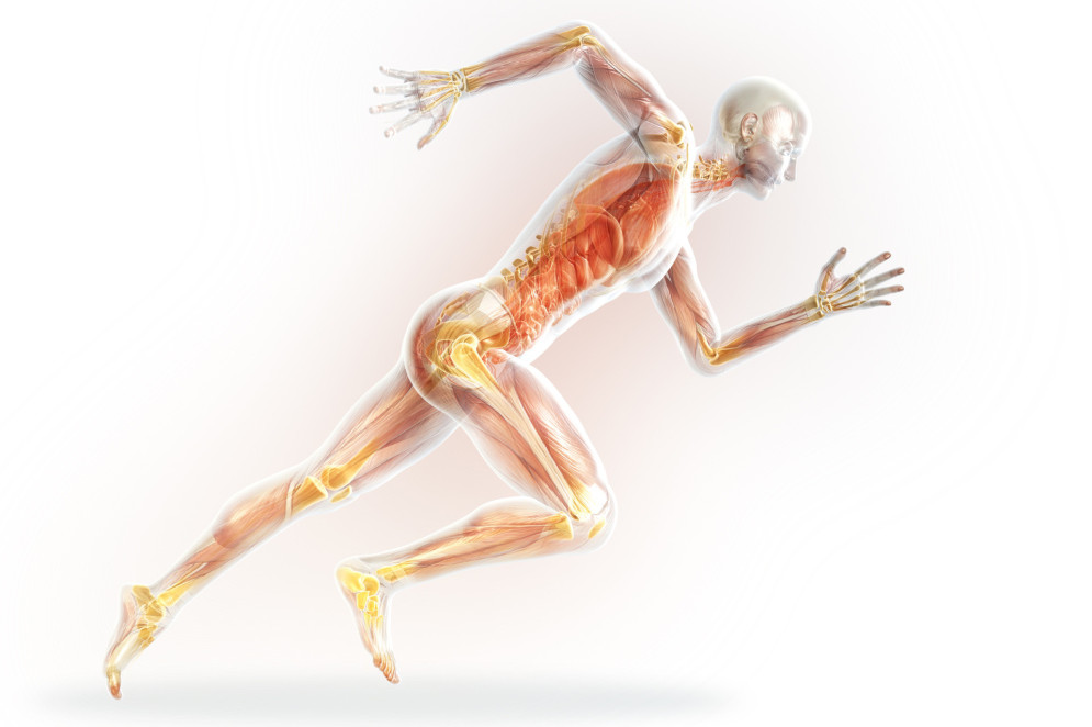 Imagem ilustrativa em 3D de um atleta com articulações inflamadas(Foto: AdobeStock)