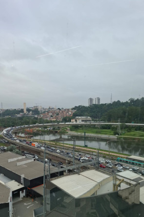 Vista do Rio Pinheiros, no lançamento do estudo da Roche Farma(Foto: Ludmyla Barros/O POVO )