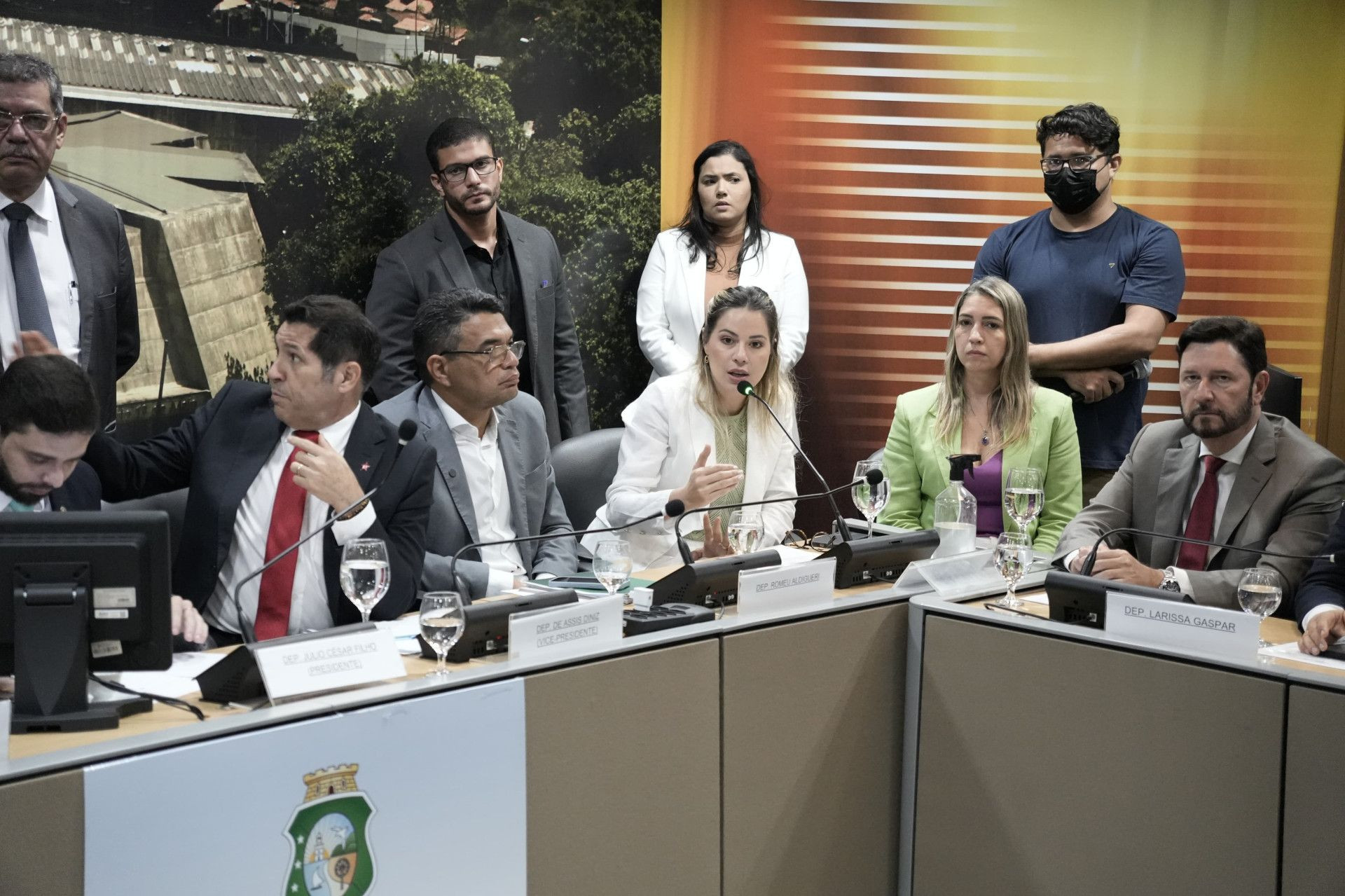 Onélia Santana em sabatina na CCJ da Assembleia Legislativa do Ceará (Alece) (Foto: Fernanda Barros / O POVO)