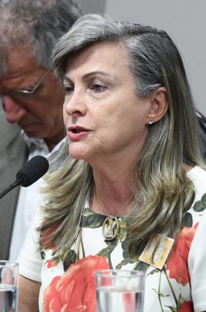 A coordenadora da Auditoria Cidadã da Dívida, Maria Lúcia Fatorelli, defende uma investigação ampla sobre a dívida pública brasileira(Foto: Marcos Oliveira/Agência Senado)