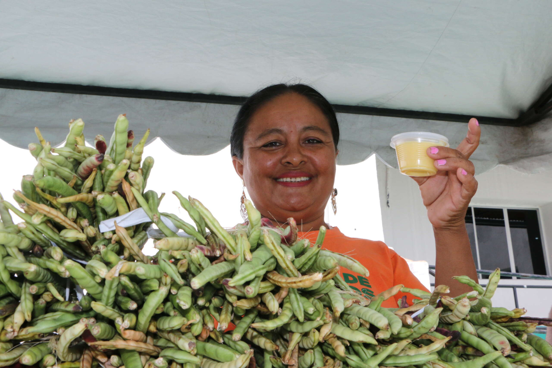 ￼CEARÁ conta com exemplos como a Feira Cearense da Agricultura Familiar e Economia Solidária (Foto: TUNO VIEIRA/Divulgação SDA)
