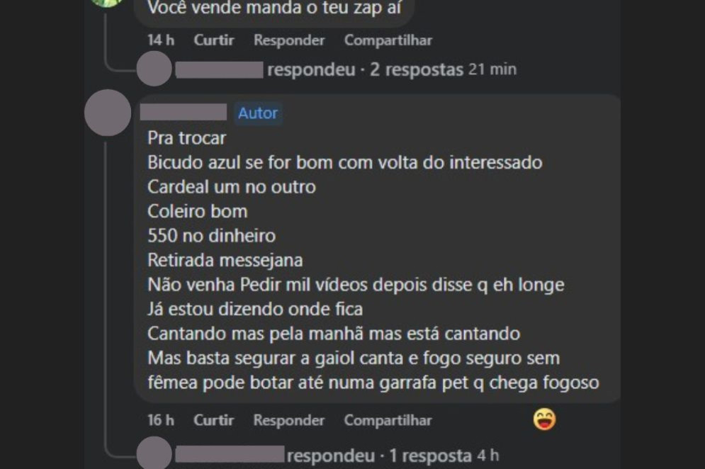 Negociação pode ocorrer nos comentários, mas tende a migrar para aplicativos de mensagem instantânea, como o WhatsApp ou o Messenger, do Facebook(Foto: Reprodução/Facebook)