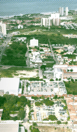 Imagem da reportagem: Áreas verdes em Fortaleza