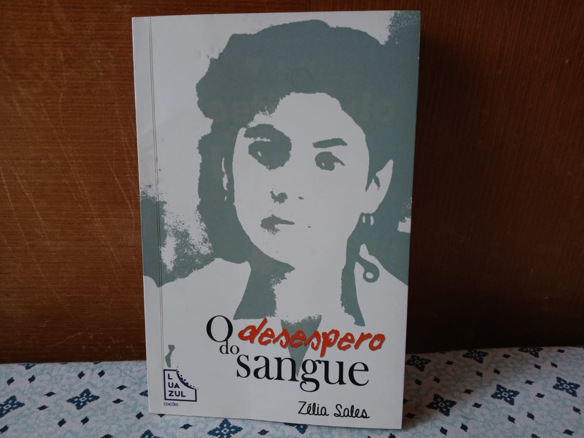 Capa do livro 'O desespero do sangue', da escritora cearense Zélia Sales (Foto: Sergio Araujo)