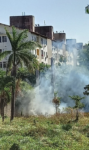 Queimadas foram vistas, nos últimos anos, na ZPA Olho D'água(Foto: Associação de Moradores e Amigos do Olho Dágua (Amaod))