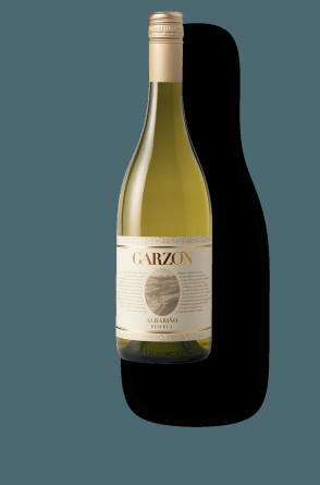 Garzón Single Vineyard Albariño - World Wine