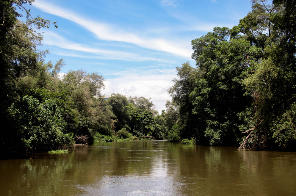 Dos 59 poluentes analisados, 48 foram detectados em peixes, 33 em crustáceos e 43 em moluscos
