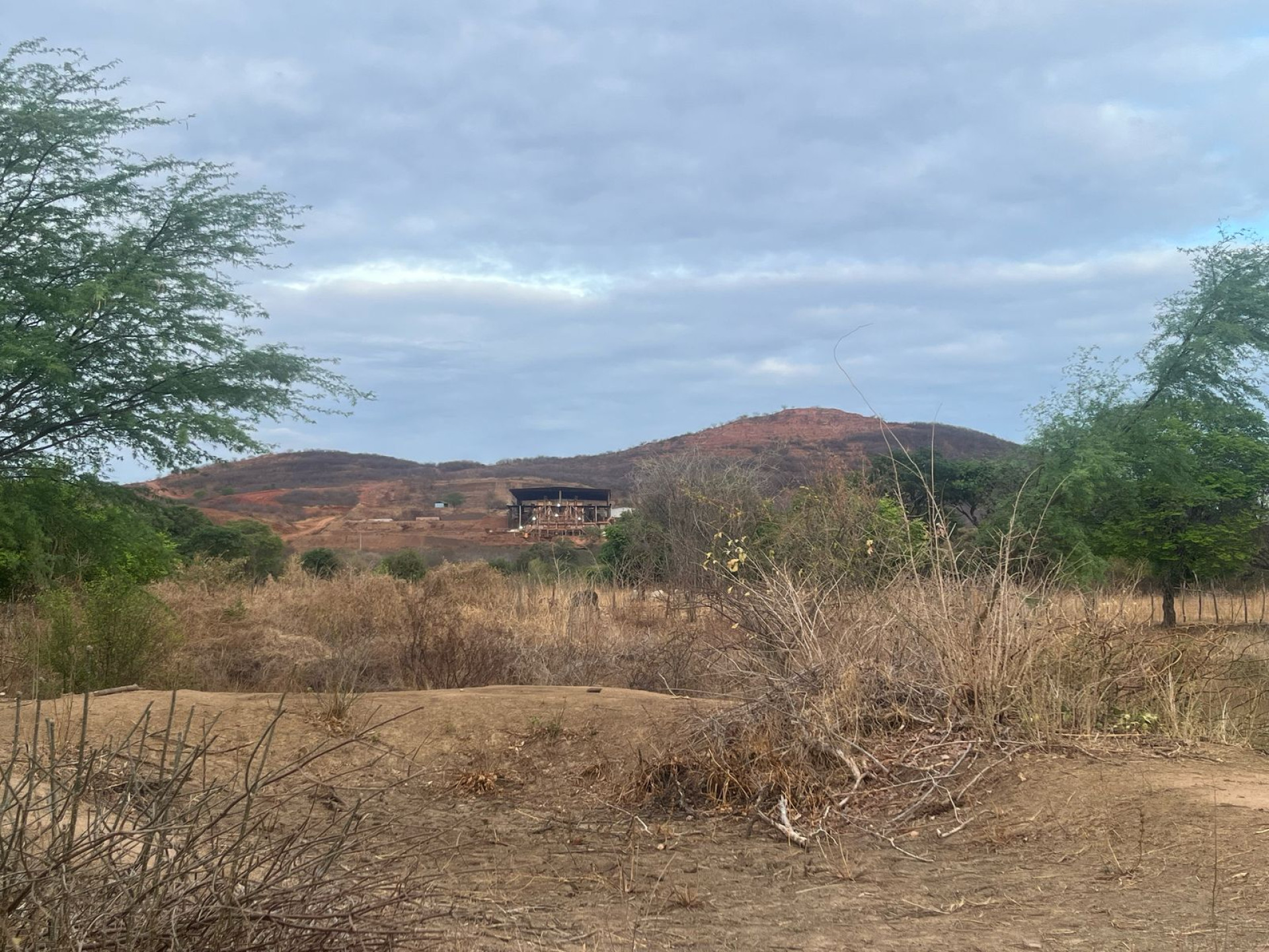 Para todos verem: imagem mostra uma vegetação de Caatinga com uma mineradora ao fundo, a Globest