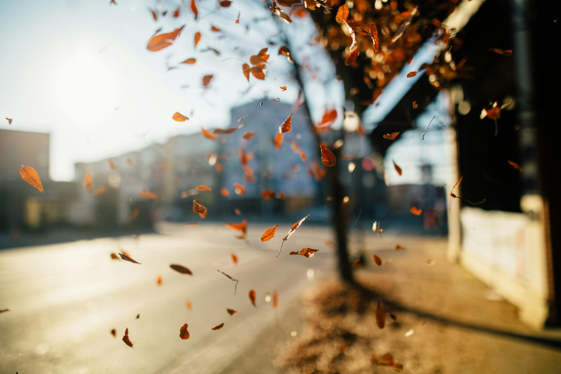 O vento quando bate (Foto: Pexels/Kelly)