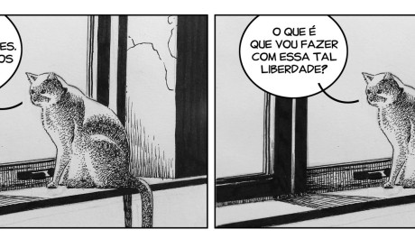 os mundos de liz