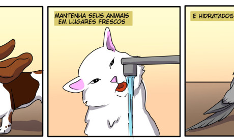 zootirinhas