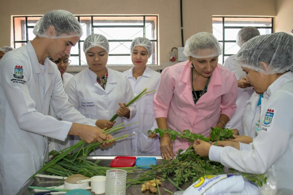 A pesquisa foi dividida em duas partes, com catalogação de bulas e receitas alimentícias, como sorvetes e biscoitos. (Foto: Agência IFCE )