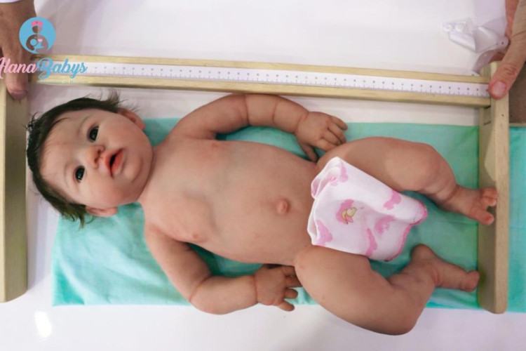 Maternidade Alana Reborns(Foto: Arquivo pessoal/Alana Babys)
