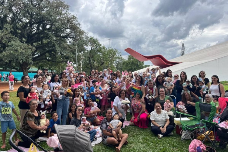 Encontro de bebês reborn (Foto: Rwprodução/Facebook/Arte Reborn Brasil)