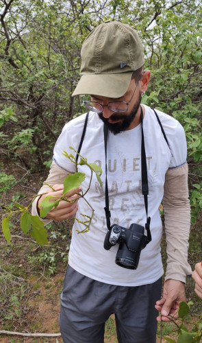 Professor e pesquisador Marcelo Teles do IFCE durante o estudo sobre a Tacinga mirim, em dezembro de 2022(Foto: Antônio Sérgio/Reserva Imburanas da Volta)
