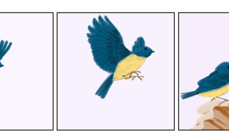Desenho vivo
