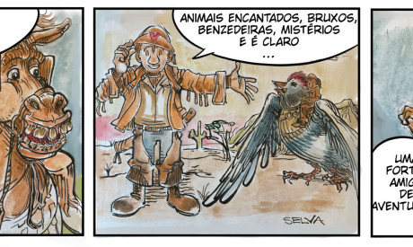 sertão mágico