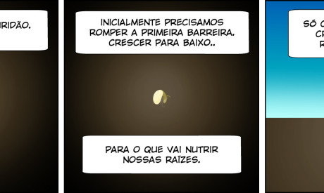 nanda a ver