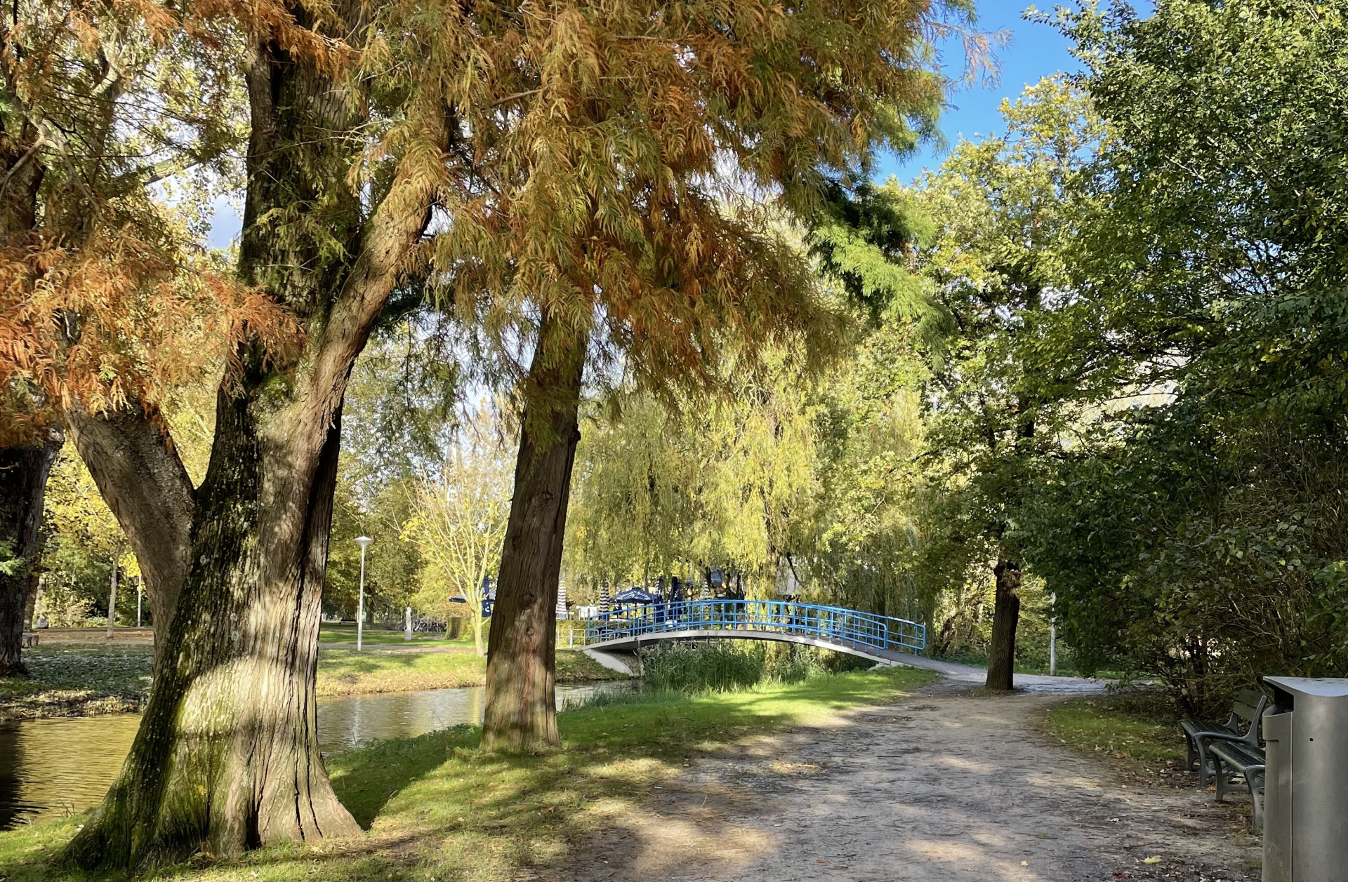 Vondelpark, em Amsterdã (Foto: Arquivo pessoal)