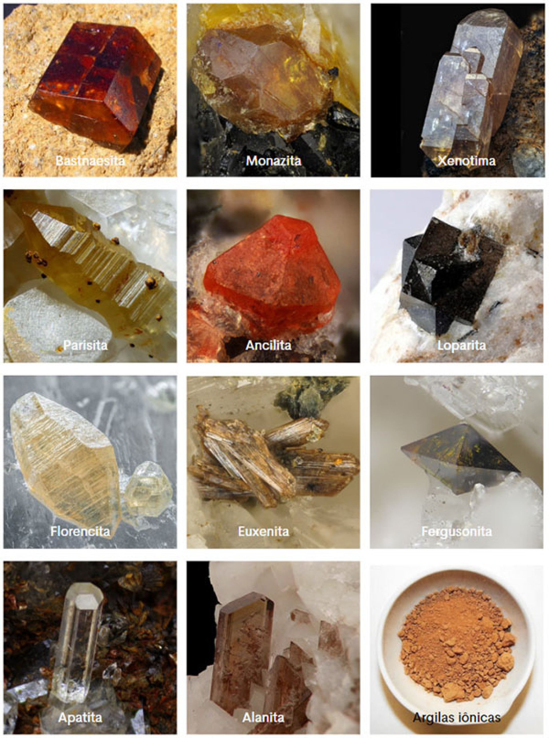 Na imagem, os principais minerais portadores de elementos de terras raras(Foto: Serviço Geológico Brasileiro / SGB Educa)