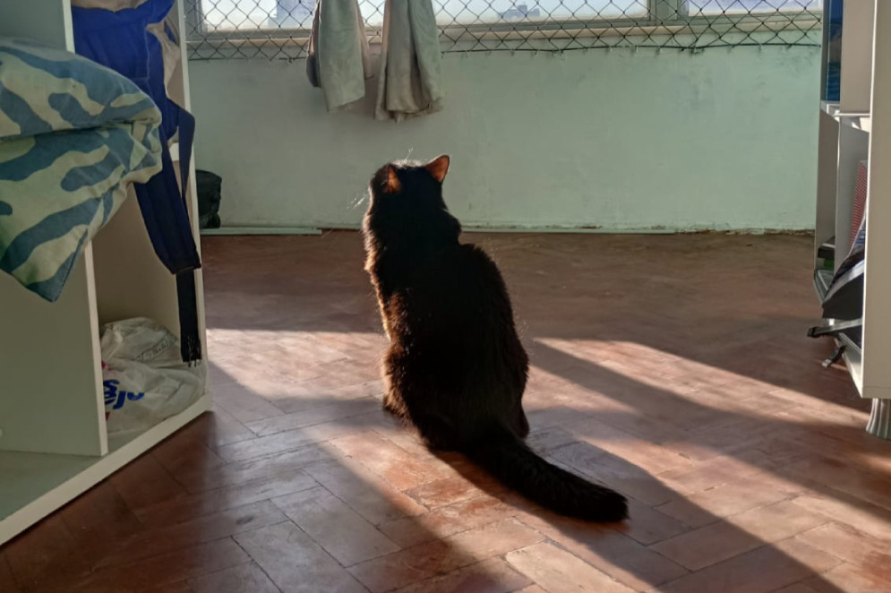 Luna tinha suspeita de câncer e estava investigando uma doença respiratória há dois anos(Foto: Arquivo pessoal)