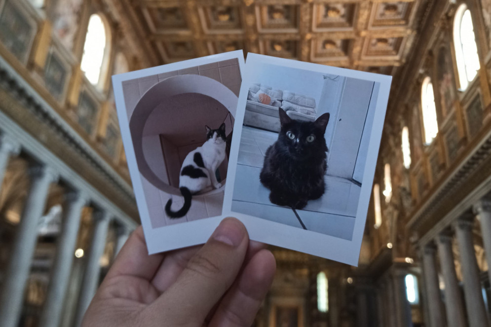 Khaleesi (à esquerda) e Luna (à direita) na Basílica de Santa Maria la Mayor (Foto: Diana Trujillo/Acervo pessoal)