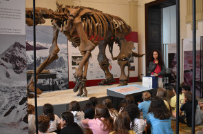 Museu de Ciências da Terra