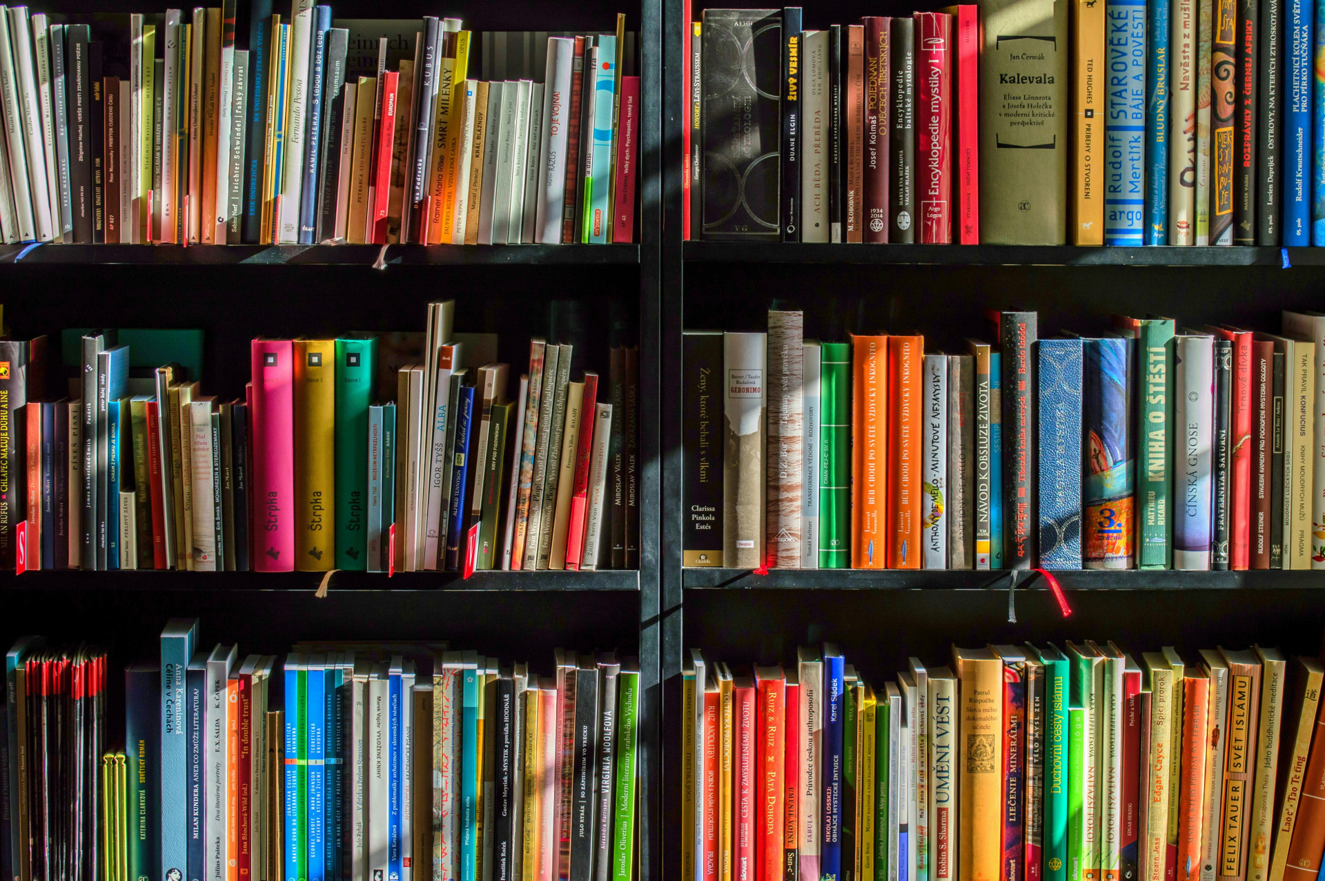 Imagem ilustrativa de apoio (Foto: Pixabay)
