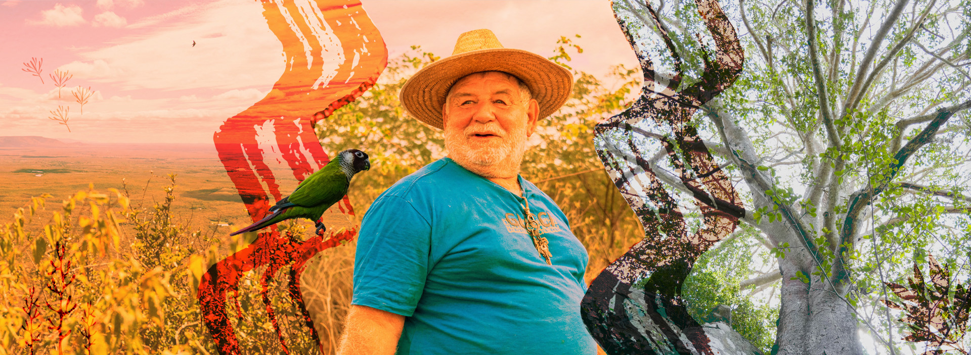 CAPA 01 - MUDANCAS CLIMATICAS 2 (Foto: FOTOS FERNANDA BARROS E MONTAGEM COM INTERVENÇÃO GRÁFICA DE CRISTIANE FROTA)