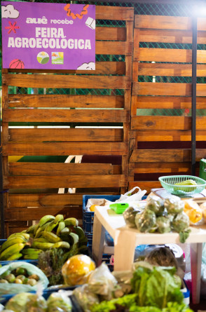 Feira agroecológica dentro da Auê Feira Criativa, na Praça das Flores, na Aldeota(Foto: Talita Machado)