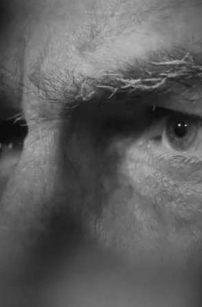 CAPA - BOLSONARO JULGAMENTO