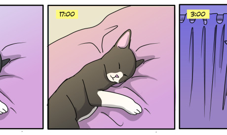 zootirinhas