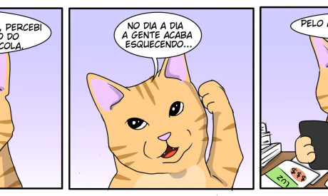 zootirinhas
