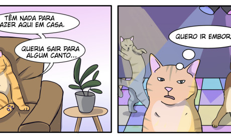 zootirinhas