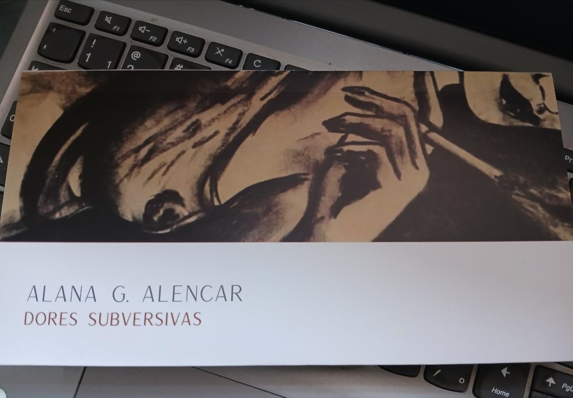 Capa do livro 'Dores Subversivas', de Alana Alencar (Foto: Chico Araujo)