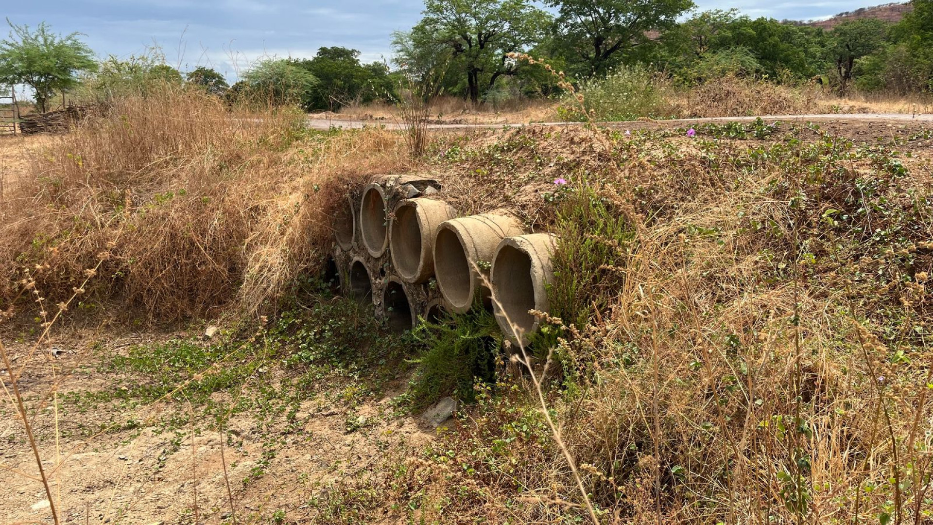 ￼SITUAÇÃO das manilhas utilizadas permitir a passagem de água do Rio Poti por baixo da estrada (Foto: Fabiana Melo/O POVO)