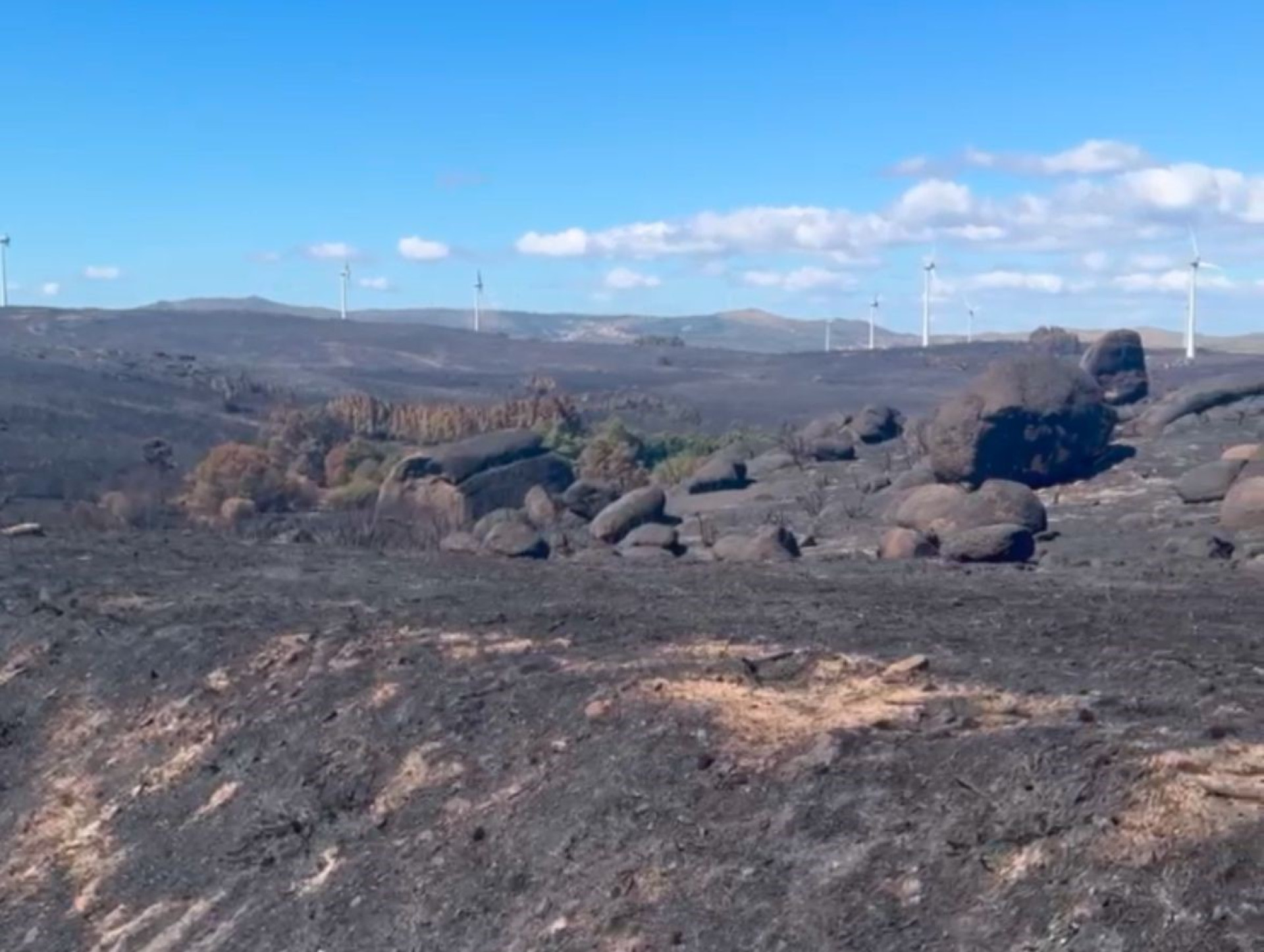 Queimadas em Portugal (Foto: Arquivo pessoal)