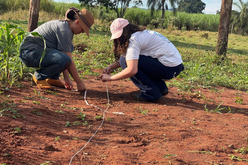 Karolina, ao lado de Iara Valquiria Zanini Almeida, agente local de formação (ALF) assentada e bolsista no Programa de Formação em Assistência Técnica e Extensão Rural para Assentamentos da Reforma Agrária para Contribuição da Agenda 2030 (Profor-Ext)(Foto: Acervo pessoal)