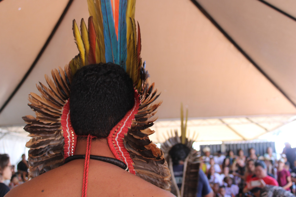 Representantes de povos indígenas de todo o Brasil se reuniram no Acampamento Terra Livre (ATL) de 2024, em Brasília(Foto: Graciela Guarani)